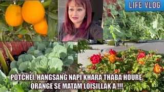 Hingkhol da potchei khara thaba houjare. Orange su matam loisillak a. Manipur ga mannaba veggies....