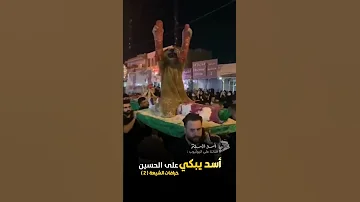 أسد يبكي على الحسين خرافات الشيعة 2 
