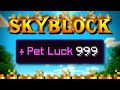 Hypixel SkyBlock Hardcore [47] WHAT IS MY PET LUCK