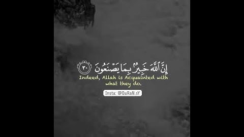 ماهر المُعيقلي | سورة النور آية 30 ♥️