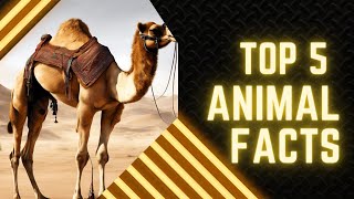 Top 5 Animal facts # Amazing animal facts#animalkingdom #facts #randomfacts