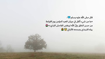 تلاوه نديه وهادئه للقارئ حماد عزي ❤️