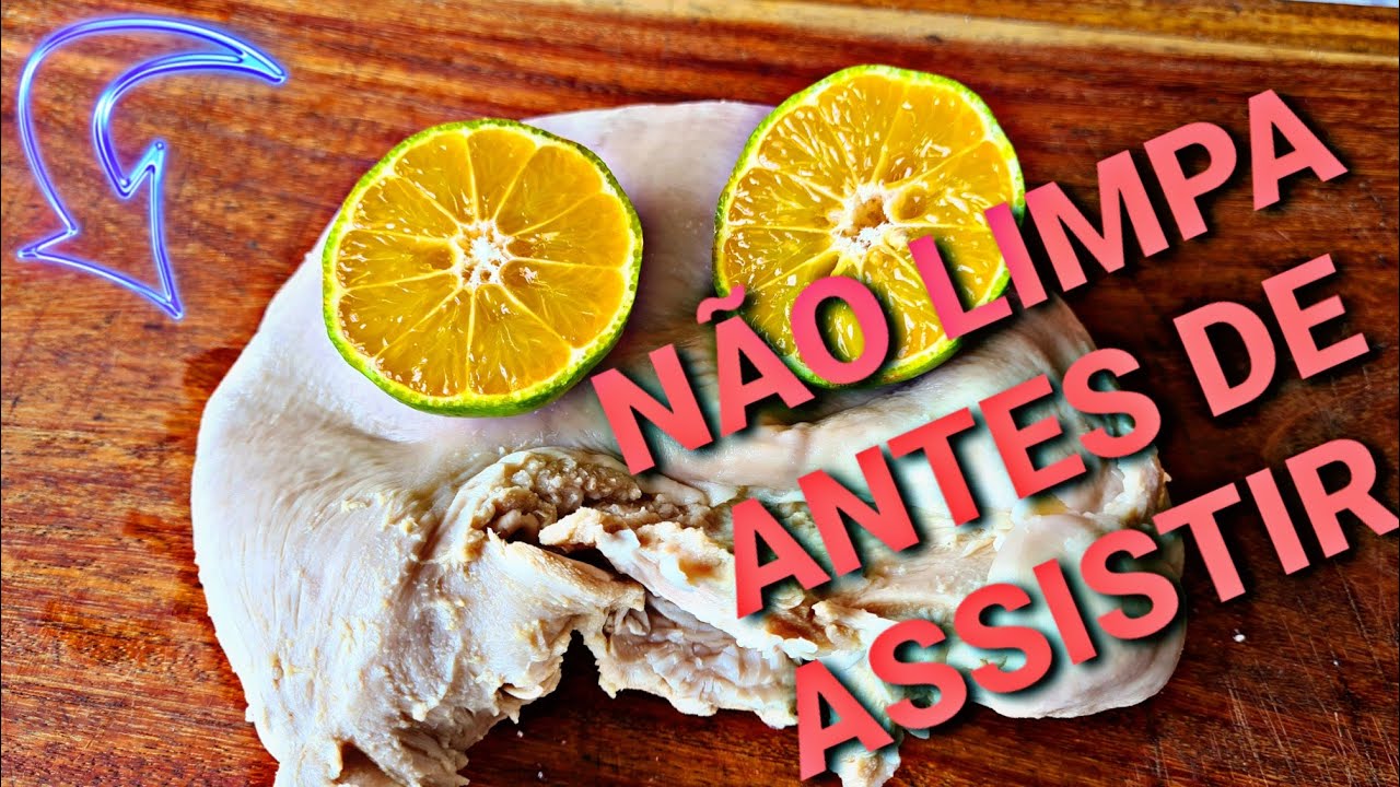 A melhor maneira de limpar e tirar o cheiro do bucho