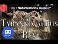 VR180 Naturhistorisk Museum - Tyrannosaurus Rex