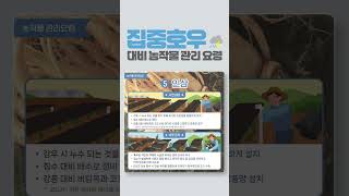 [기상재해예방] 집중호우 대비 농작물 관리요령 - 인삼 #농사 #기상재해 #집중호우