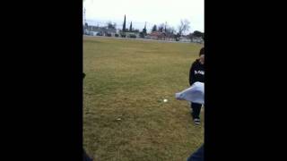 jibran vs tony