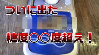 ついに出た新記録！糖度○○度超え