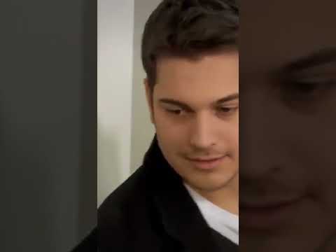 الجميع سيشهد هذا الحب أسميتها فريحة Shorts 