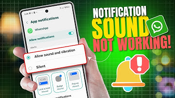 How to Fix WhatsApp Notification Sound Not Working on Android | WhatsApp Message Alerts Not Coming