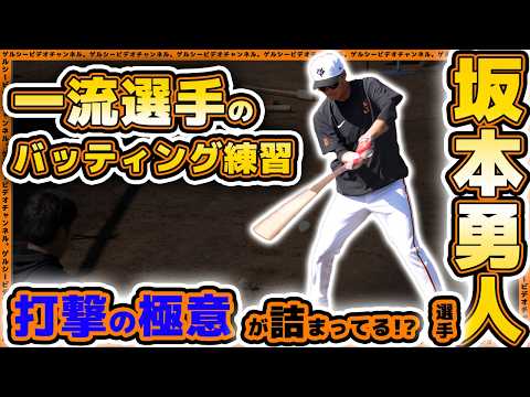 【巨人】坂本勇人選手のバッティング練習。フォームやノーステップ打法、体重移動を丁寧に？