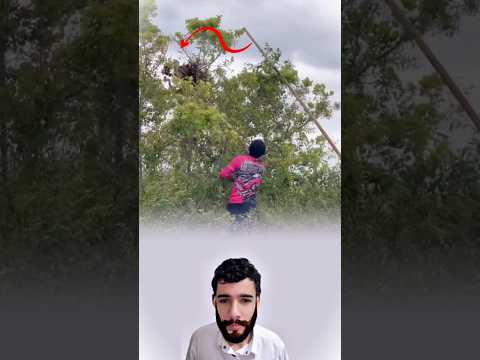 رغم الخطر الذي يحيط به يظل الرجل صامد ا عازم ا على إنقاذ كل روح في العش 