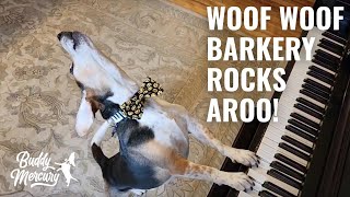 Woof Woof Barkery Rocks AROO!
