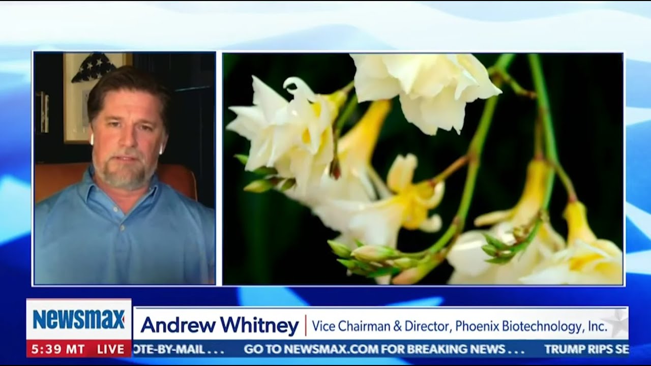 Mike on Newsmax with Andrew Whitney of Phoenix Biotechnology YouTube