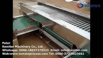 Automatic Cherry Tomato Size Grading Sorting Machine for Sale