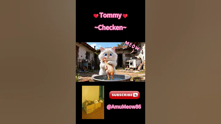 Video 11677991: cat chicken funny, cat food chicken, clean funny cat, cat funny adorable, adorable cats love