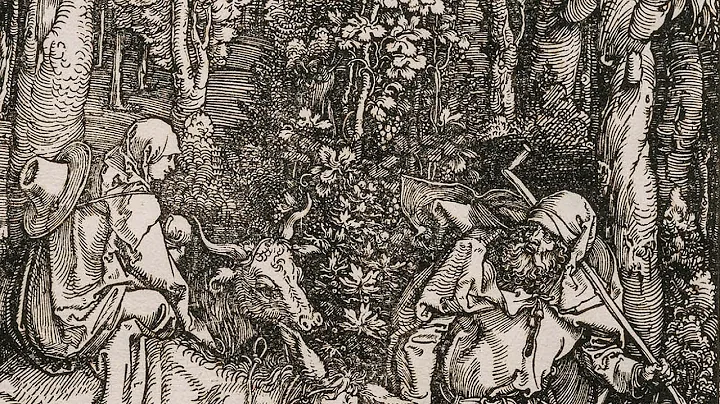 Albrecht Drer the printmaker | National Gallery