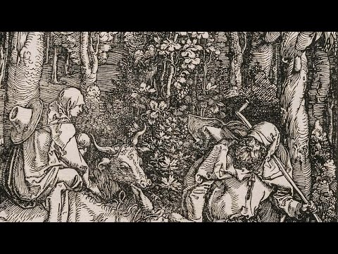 Albrecht Dürer the printmaker | National Gallery