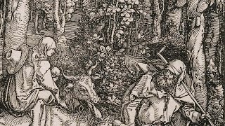 Albrecht Dürer the printmaker | National Gallery