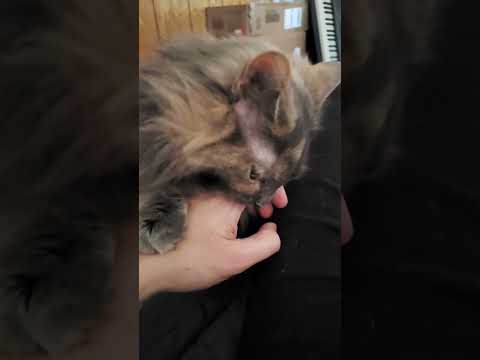 Https Open Spotify Com Track 3N73eWZ4BQTMkI5MgEpPx0 Si 9ALHyXknRZ DK4Xk88viRg  Https Open Spotify Com Track 3N73eWZ4BQTMkI5MgEpPx0 Si 9ALHyXknRZ DK4Xk88viRg