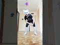 lol #therian #gear #cat #dance #theriantheropy #therian #furry #dance #youtubeshort #fypシ #viral