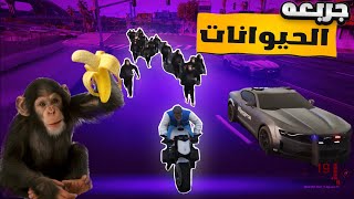 جربعه الحيونات يمين لا يسار  | قراند الحياة الواقعيه GTA 5