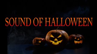 Sound Of Halloween Ambient Music screenshot 5