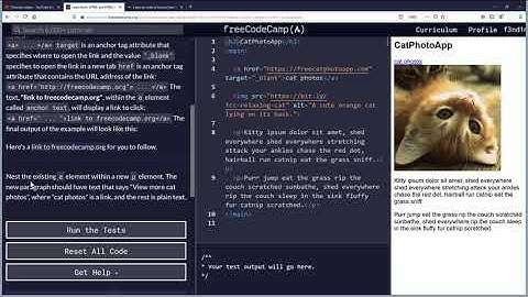 Nest an Anchor Element within a Paragraph Free Code Camp Org Basic HTML and HTML5