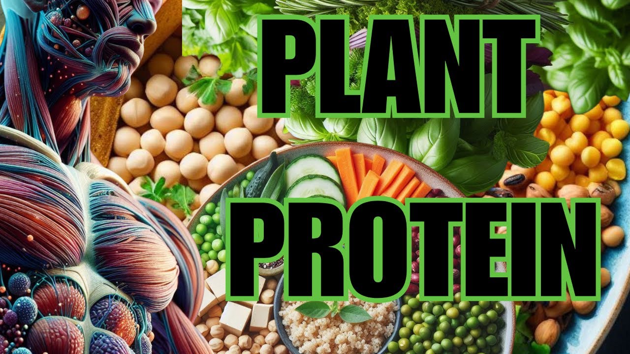 Top 10 PLANT PROTEIN Foods