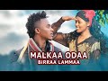 Birraa lammaa  malkaa odaa new ethiopian oromo  music 2024officialethiopianmusic