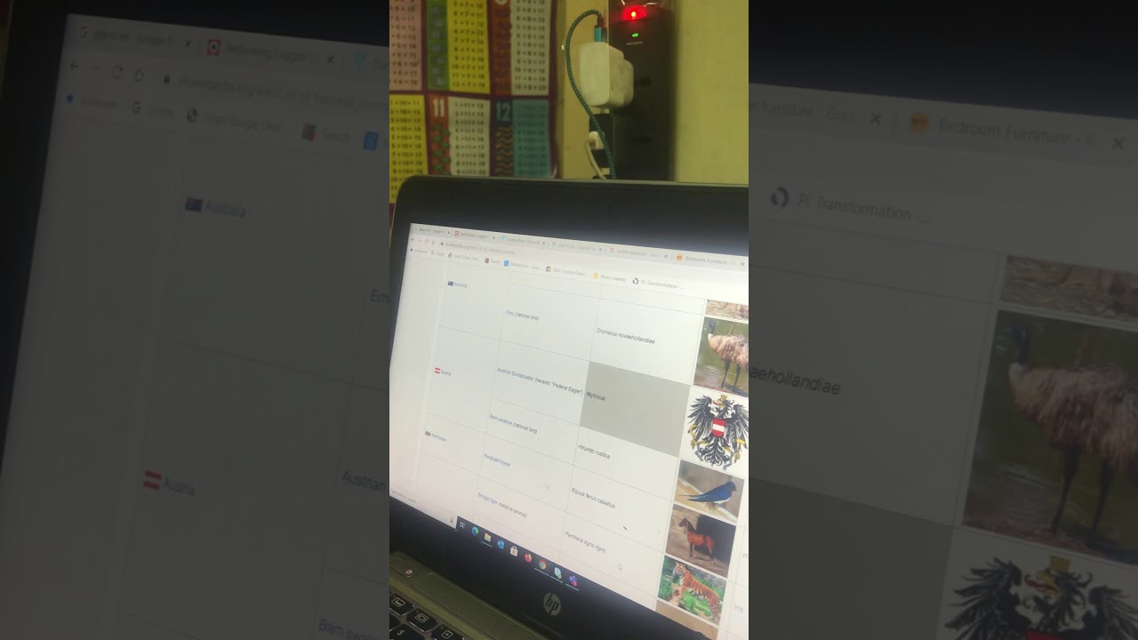 National animals part 1 - YouTube