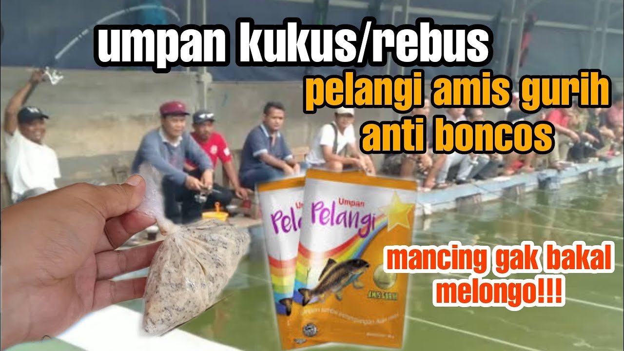 UMPAN KUKUS PELANGI AMIS GURIH DI JAMIN ANTI BONCOS!!