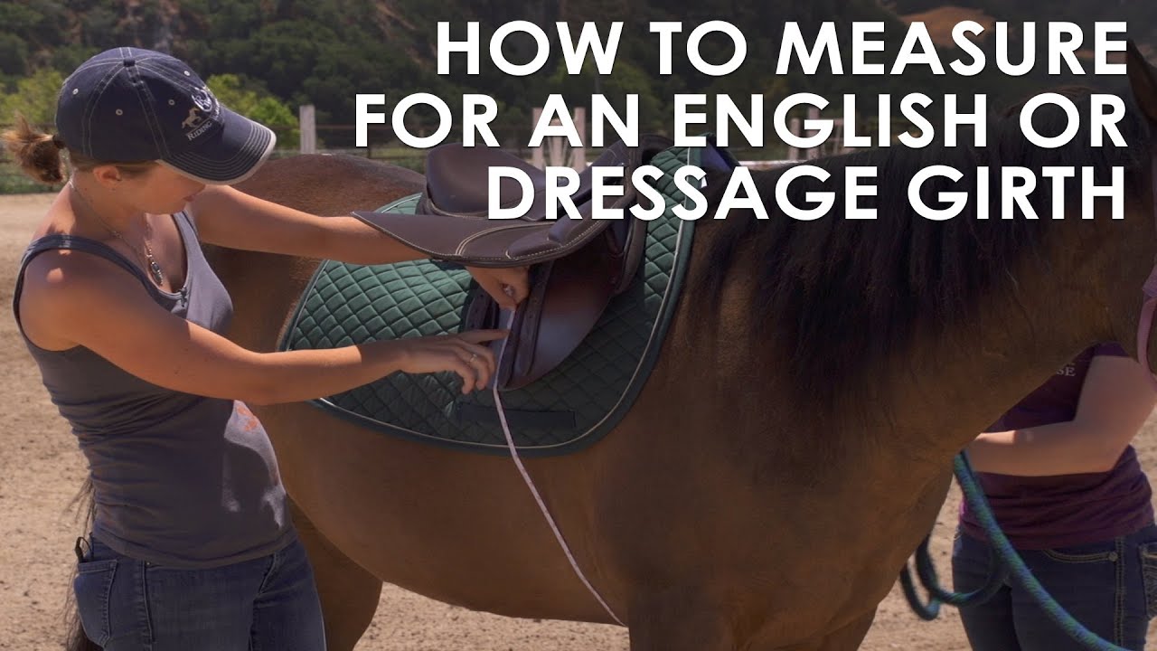 how-to-measure-your-horse-for-english-dressage-girth-size-youtube