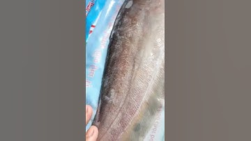 CÁ THÁT LÁT RÚT XƯƠNG 70.000đ/con 300g