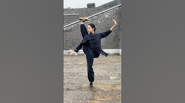 Mastering Tai Chi: The Graceful Art of YuanZhi (沅芷)