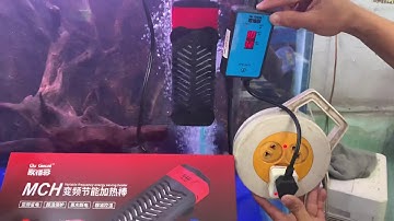 Cây sưởi nhiệt bể cá cao cấp Gecai