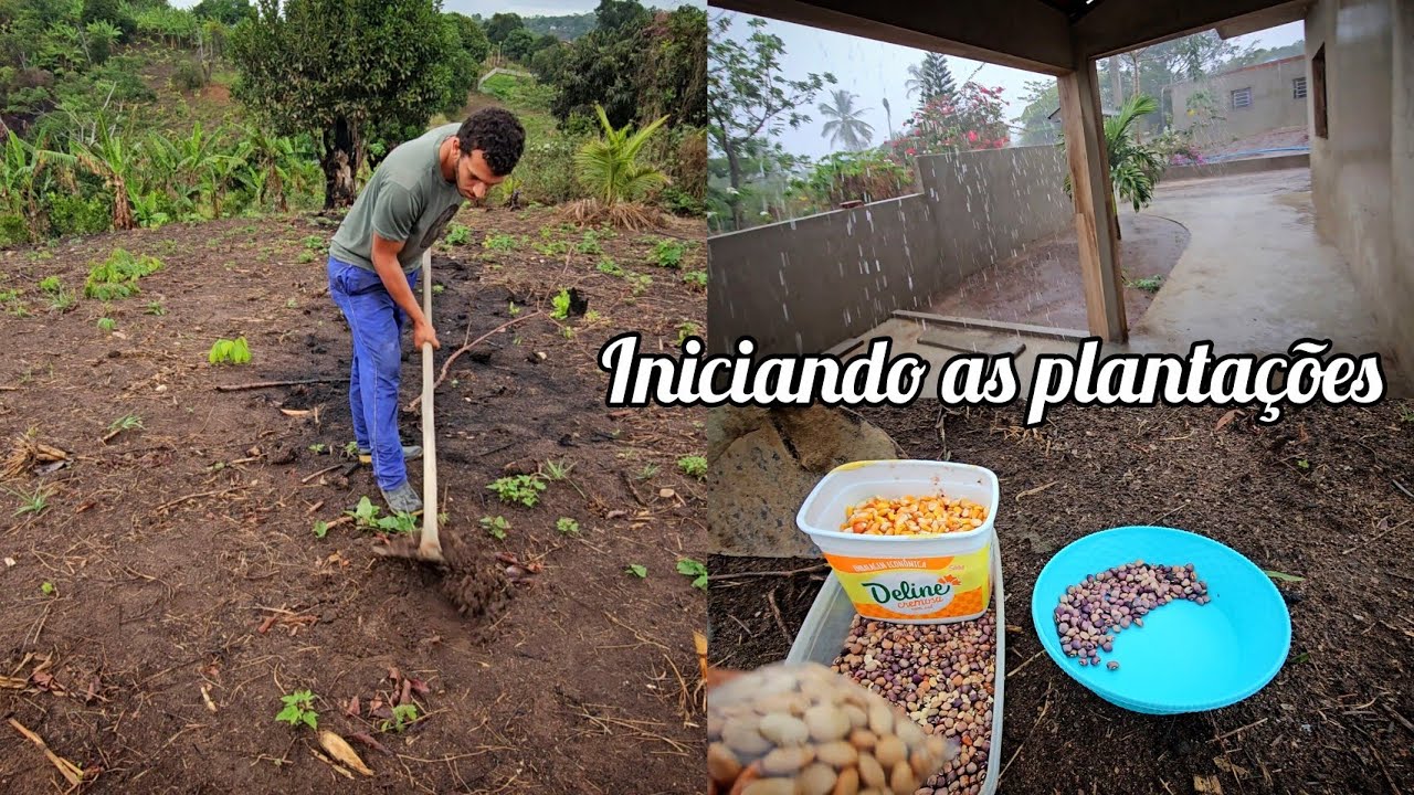 Depois das FORTES CHUVAS comecei as PLANTAÇÕES aqui  no sítio 