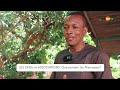 Ko Ina: ONGs et Associations, que pensent les Niameyizés?