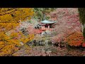 Daigoji Temple Kyoto.