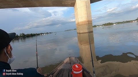 RA TRỤ CẦU RẠCH MIỄU RÌNH CÂU CÁ LĂNG ĐUÔI ĐỎ