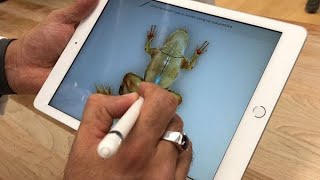 米アップル　教育狙う割安「ｉＰａｄ」