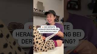 Nur Wenn Du Das Loslässt, Wird Dein Kind Wirklich Stark Für Die Schule.