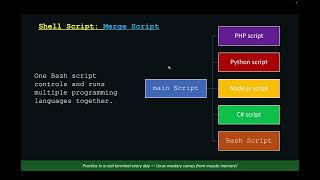 Demo Shell Script With PHP Python and NodeJS