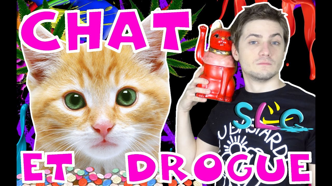 Chat et Drogue – SLG N°60 – MATHIEU SOMMET