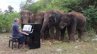 Beethoven "Pastoral Symphony on Piano for Elephants" chords