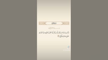 حالات واتس اب تلاوه خاشعه مما تيسر من سوره النحل