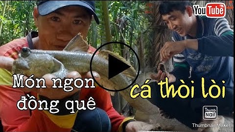 Món ngon đồng quê cá thòi lòi nướng mọi chấm muối ớt chanh|Minh Đoàn Miền Tây