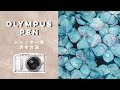 【静音設定】カメラのシャッター音を消す方法 // オリンパスペン・OLYMPUS PEN E-PL10