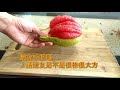 柚子的四種切法你喜歡哪一種．Four ways to cut grapefruit