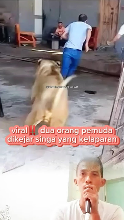 viral‼️dua pemuda dikejar singa yg kelaparan #shortcomedy #shortvideo #shorts #trending #funny