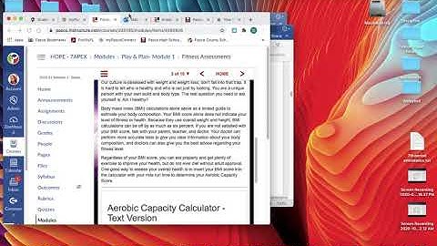 Play and Plan Module Wellness Plan